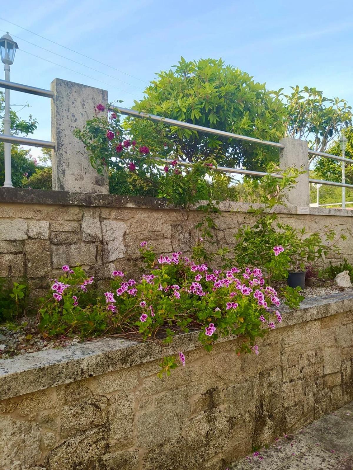 Apartamento Con Jardin Y Piscina Temporada Verano Privados Samieira Екстериор снимка